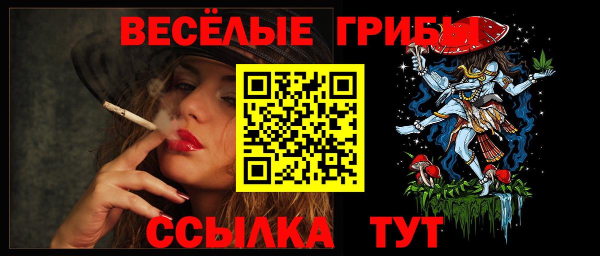 Псилоцибиновые грибы Psilocybine cubensis  Галлюциногенные грибы GOLDEN TEACHER  Вход с VPN  Баксан 